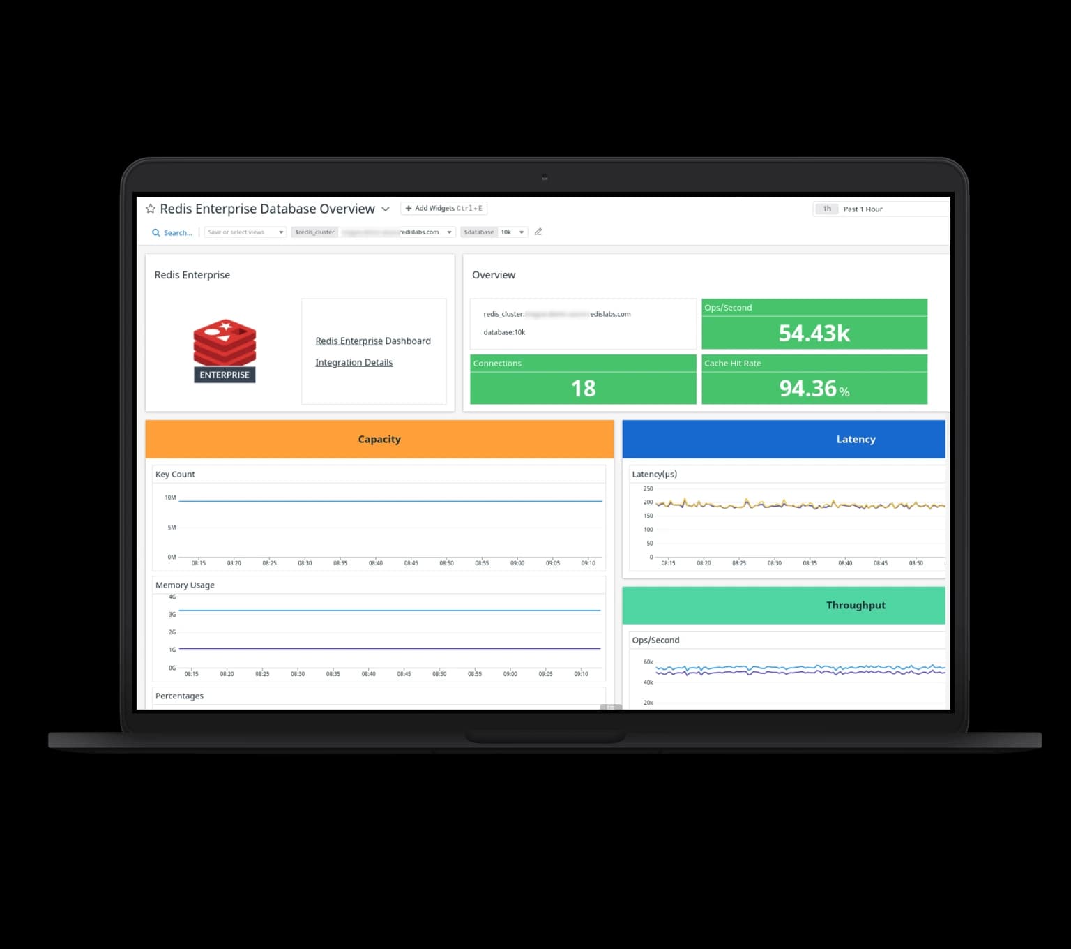 Redis Database Development Company